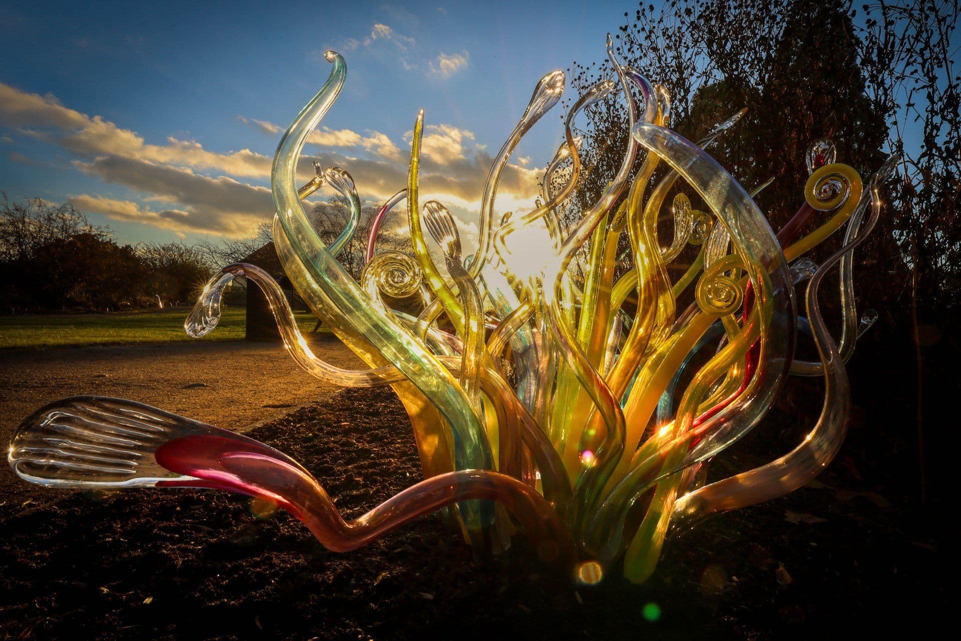 2617 Křišťálová zahrada v pražské botanické zahradě